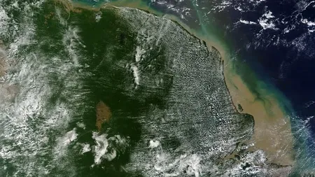 Barieră imensă de corali, descoperită sub apele murdare ale Amazonului