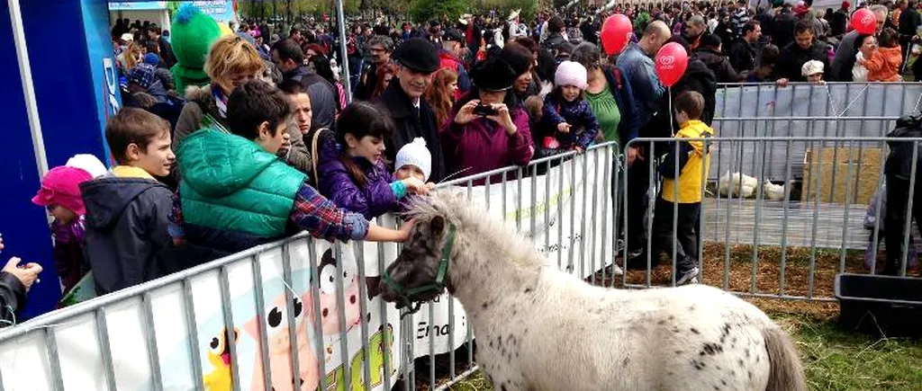 Ce se întâmplă la FERMA ANIMALELOR în NOAPTEA MUZEELOR 2014