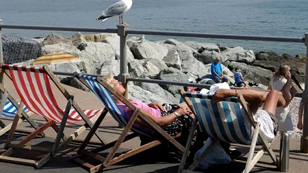 ''Păsările'' lui Hitchcock devin realitate: pescărușii ''psihopați'' atacă locuitorii și turiștii din Marea Britanie și le fură mâncarea