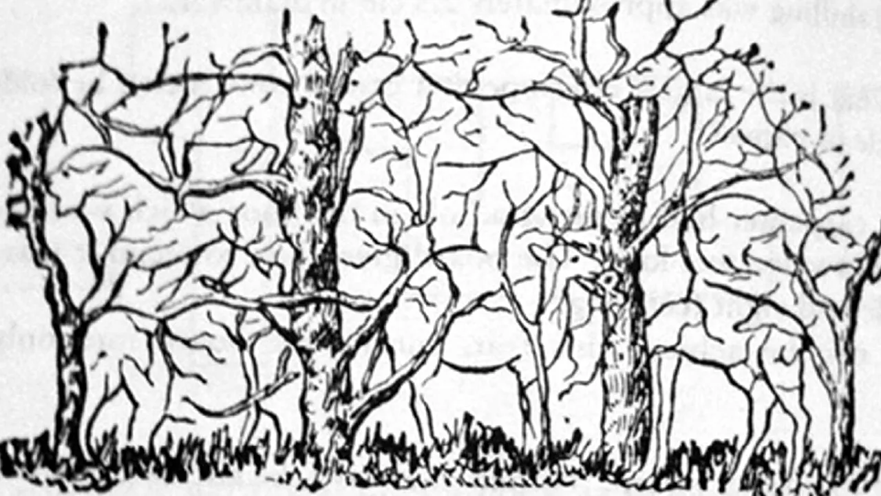 Cel mai tare test psihologic | Ce animal vezi prima dată în această imagine? Răspunsul îți va spune ce fel de om ești