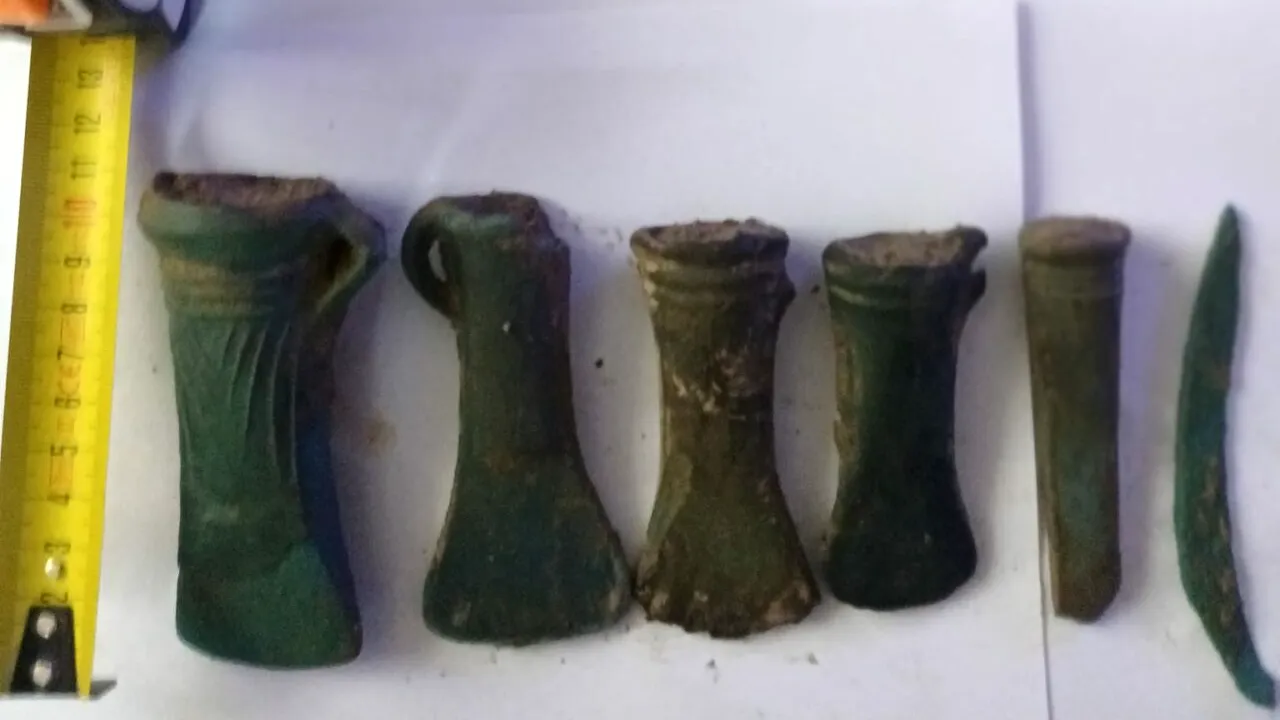 Un orădean a descoperit o COMOARĂ veche de 3.000 de ani, într-o pădure din Bihor. Bărbatul e pasionat de istorie și deține un detector de metale