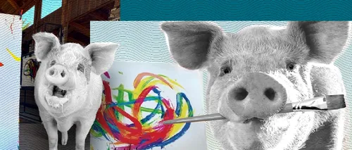 Pigcasso, porcul care a devenit celebru pentru PICTURILE sale, a murit