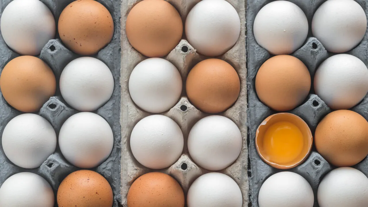 Alertă alimentară în Vaslui. Aproape 60.000 de ouă contaminate cu Salmonella au fost retrase de pe piață