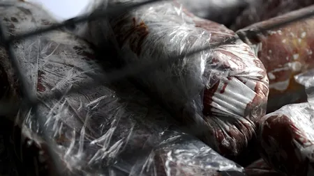 Descoperirea făcută pe malul lacului Tarnița. E vorba de câteva sute de kilograme, pe mal și în lac