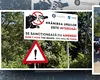 TRAGEDIA de pe Transfăgărășan, analizată de un specialist în comportamentul animalelor. „URSUL mușcă, dar nu se ospătează, chiar dacă a omorât omul”