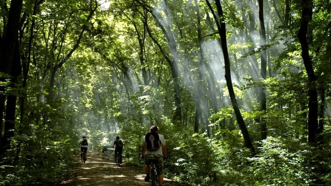Cinci idei de weekend pentru cei care vor să evite AGLOMERAȚIA DE PE LITORAL. Unde poți face bungee-jumping, degustări de vinuri sau plimbări cu bicicleta prin pădure