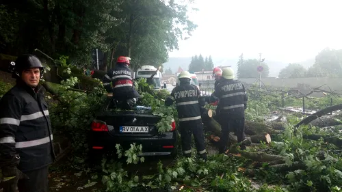 Patru oameni, la spital, după ce un copac a distrus mașina în care se aflau. VIDEO