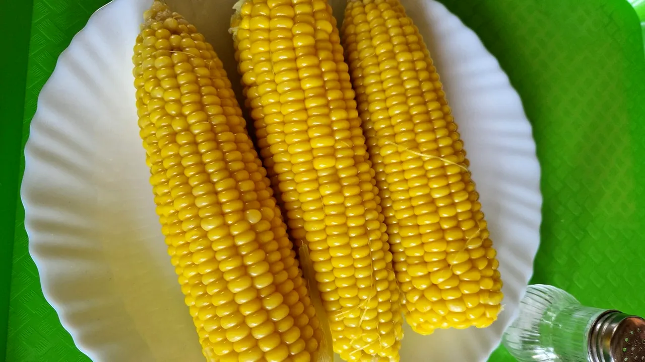 Autoritățile din Olanda au descoperit porumb românesc contaminat cu o substanță EXTREM de periculoasă