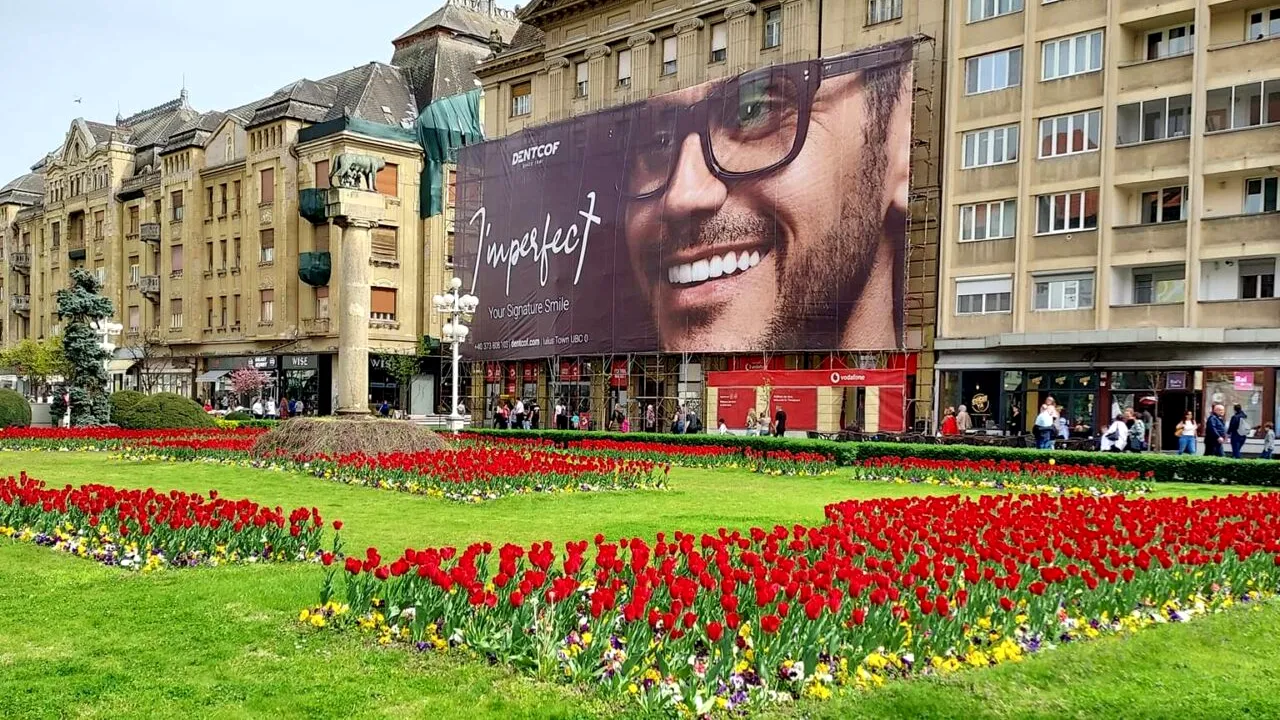 Peste 100.000 de LALELE au înflorit în acest oraș din România. Vin turiști de peste tot ca să facă poze și să admire frumusețea locului