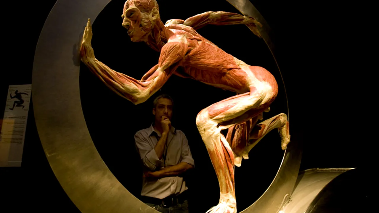 Plastifiere, criogenizare sau „înmormântare planetară