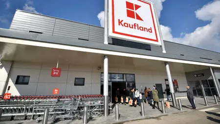 Excremente de rozătoare, un șoarece mort, insecte și larve, găsite de Protecția Consumatorilor la un Klaufland / Magazinul a fost ÎNCHIS temporar