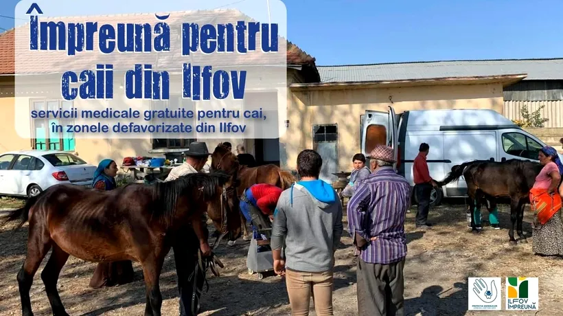 Servicii medicale gratuite pentru caii din zonele defavorizate din Ilfov (P)