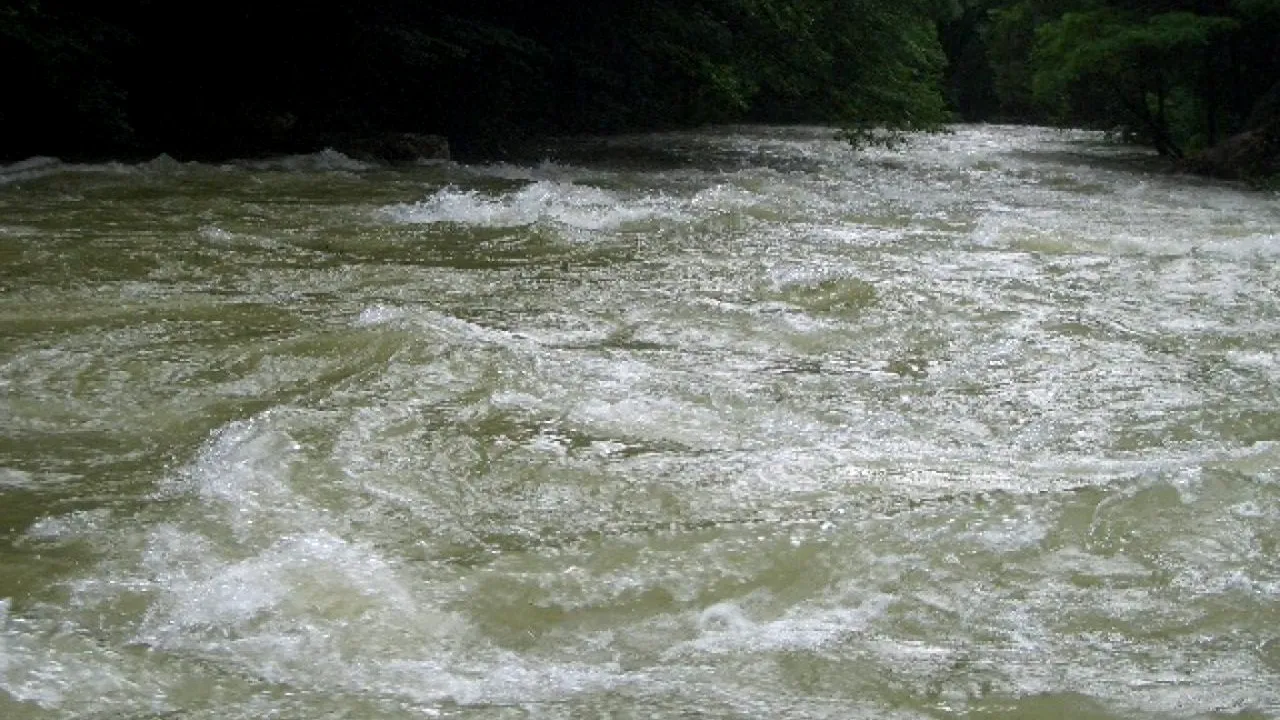 O fată de 17 ani, dintr-un centru de plasament, s-a aruncat în pârâul Trebeș