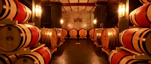 EXCLUSIV | De la crama boierilor Bibescu la casa de licitații. Povestea vinului vândut în premieră la Artmark