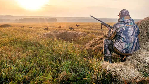 Un deputat PNL vrea să propună interzicerea vânătorii sportive. Antonel Tănase: „Vânătoarea recreativ-sportivă e practicată de tot felul de indivizi care vor să-și demonstreze bărbăția precară”