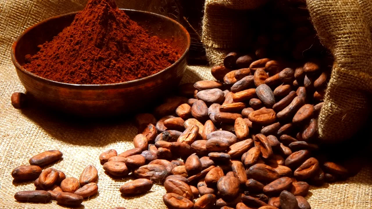 Nu îți mai amintești unde ai pus cheile de la mașină? O lingură de cacao pe zi poate preveni pierderile de memorie