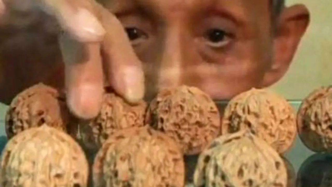 Cele mai surprinzătoare lucruri în care investesc chinezii bogați