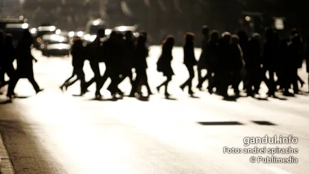 INS confirmă CREȘTEREA ECONOMICĂ de 0,8% la semestru. Valoarea PIB a ajuns la 248,5 miliarde de lei