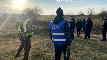 Primăria Sector 6 acuză ASPA că nu intervine la solicitările Poliției Locale pentru a captura câinii maidanezi