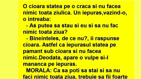 Bancul de marți | Cioara, iepurașul și vulpea