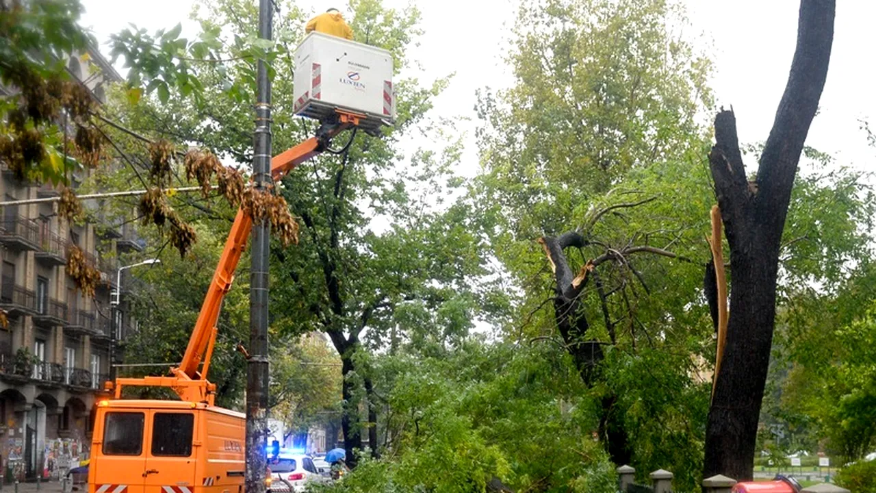 ISU: Trei persoane rănite, 75 de mașini avariate și 146 de copaci căzuți în Capitală, în 12 ore