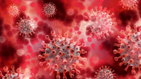 BILANȚ. 125 de noi cazuri de îmbolnăvire cu noul coronavirus în România în ultimele 24 de ore! Numărul total de cazuri confirmate a ajuns la 20.604