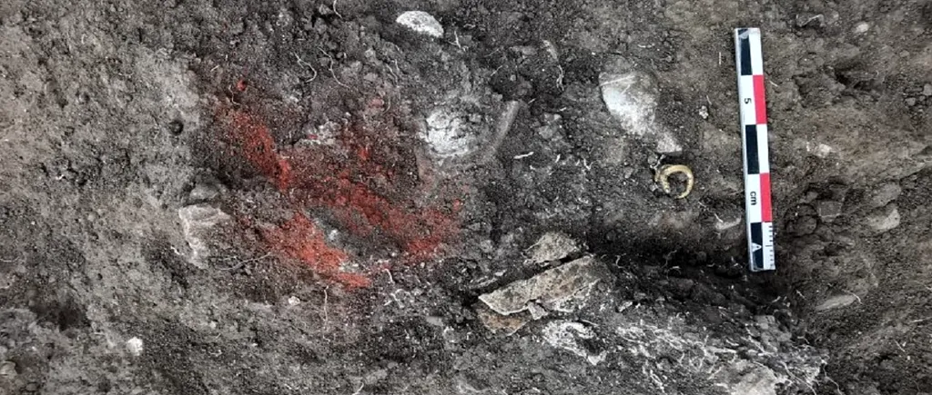 Trei morminte din epoca bronzului au fost descoperite lângă Ploiești. Ce s-a găsit într-unul dintre ele