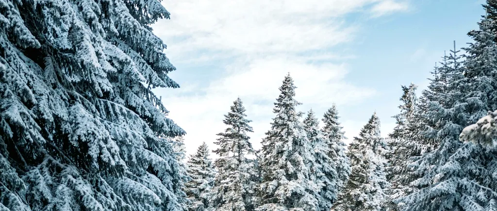 Ninge la munte: începutul unui sezon SPECTACULOS de iarnă