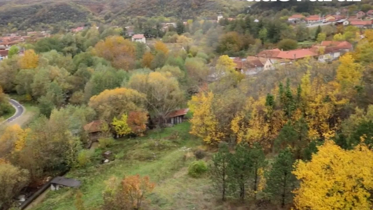 Comuna din România, părăsită de localnici pentru Austria: „Mai bine câștigă îngrijind babe”