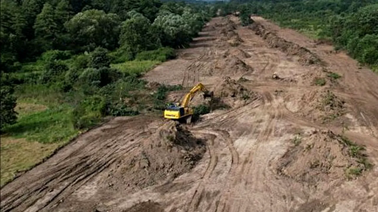 Segmentul Margina-Holdea al A1 a intrat în execuție. Autostrada va avea și pasaje pentru urși