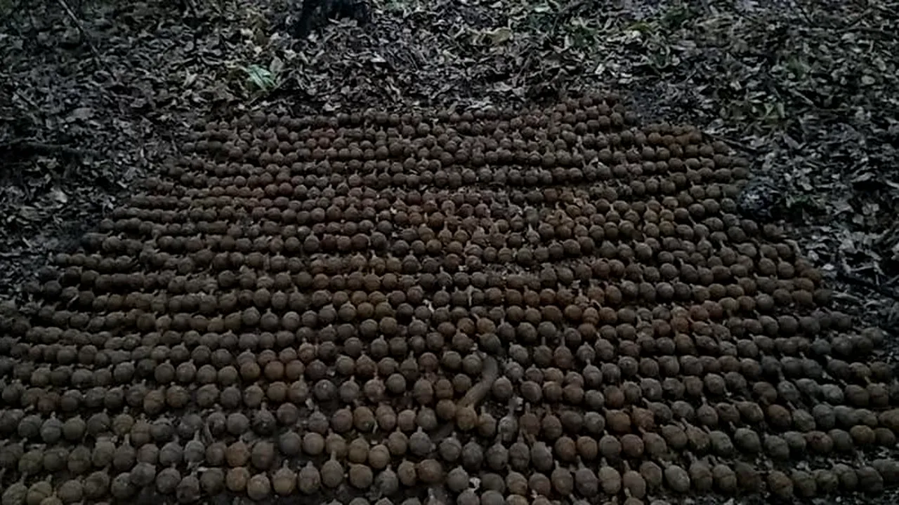 Descoperirea unei echipe specializate în detectarea metalelor. Peste o mie de grenade din Primul Război Mondial, în Vrancea