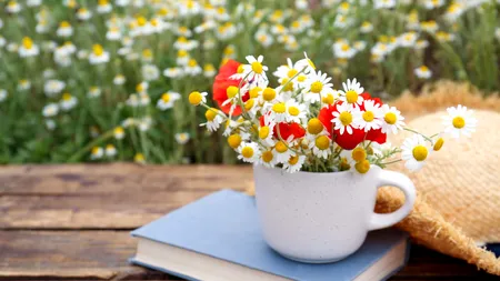 Cum va fi vremea până la începutul lunii septembrie. Prognoza meteo actualizată