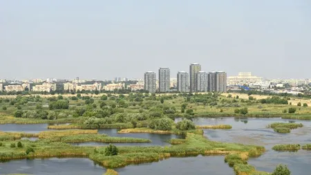 Hotărârea de declarare a Lacului Văcărești parc natural a fost pusă în dezbatere publică