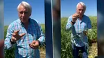 Care este marea iubire a şefului Curţii de Conturi. Eugen Orlando Teodorovici face dezvăluirea într-un lan de rapiţă.