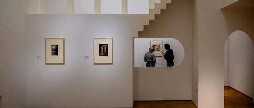 O expoziție la Haga permite vizitatorului să experimenteze universul straniu al artistului <i class='ep-highlight'>olandez</i> M.C. Escher