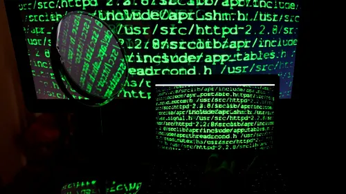 Posibil atac cibernetic la Parcul Natural Lunca Mureșului din Arad 