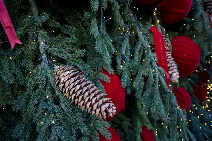 Există o multitudine de tradiții speciale pe care cetățenii le respectă în perioada Crăciunului / foto: Mediafax Foto