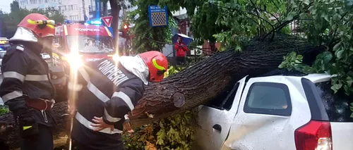 Fenomene meteo extreme | 29 de atenționări meteorologice: Copaci căzuți pe carosabil, panouri publicitare smulse, mai multe mașini avariate