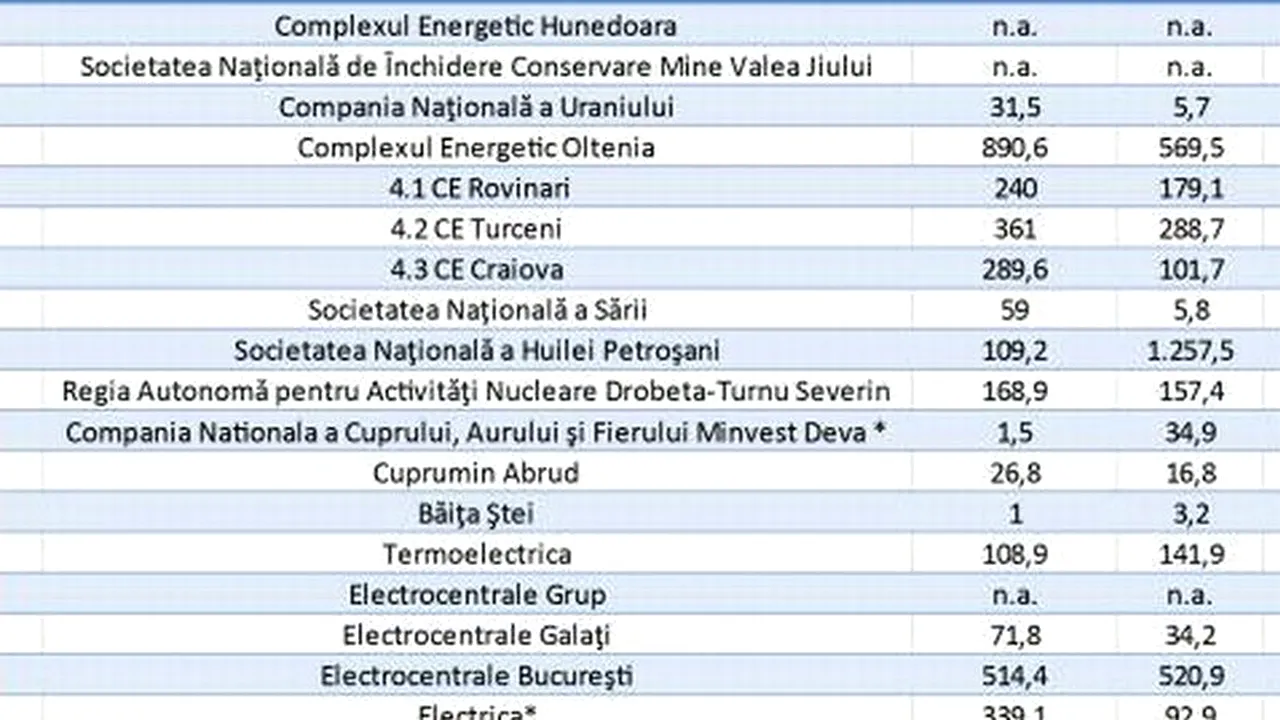 CALENDARUL DISPONIBILIZĂRILOR. Un salariat din cinci va fi dat afară de la companiile din subordinea Ministerului Economiei. Cel mai mare val de concedieri - anul acesta