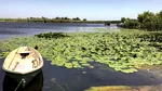 Turiștii fug de Delta Dunării după alertele cu drone. Primarul din Tulcea: „Ne-a afectat cel mai mult”