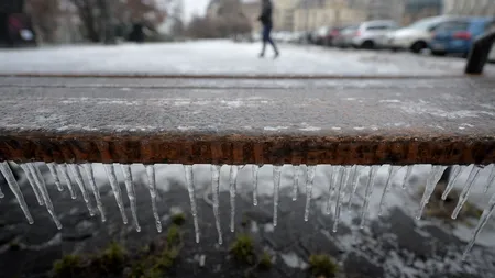 Vremea rea face RAVAGII: Sute de copaci CĂZUȚI, curse aeriene și trenuri ÎNTÂRZIATE