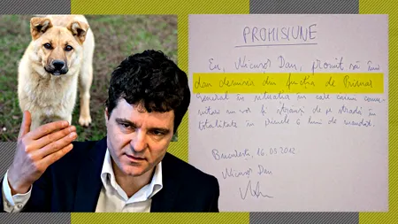 VIDEO: Nicușor Dan promitea, în 2012, la GÂNDUL LIVE, că va demisiona din funcția de primar general dacă nu va rezolva, în primele șase luni de mandat, problema maidanezilor