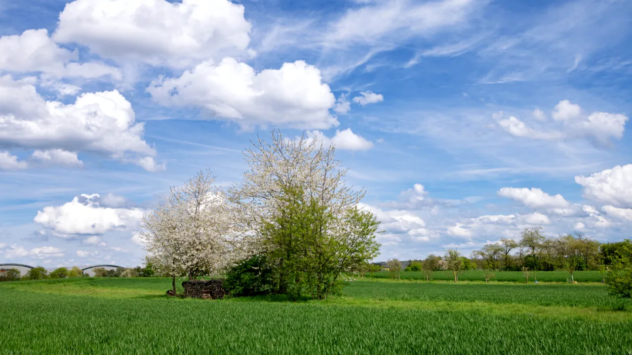 Temperaturi mult mai ridicate decât în mod obișnuit, în România. Când și unde vin ploile