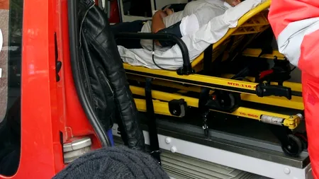 Femeie mușcată în parc de un câine scos la plimbare fără lesă și botniță