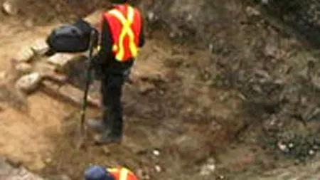 Case datând din neolitic, descoperite lângă Timișoara