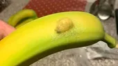 O femeie a rămas șocată când a văzut ce se afla în interiorul unei banane pe care a luat-o de la supermarket