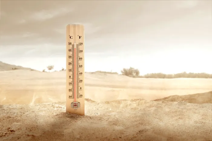 Caniculă  Foto caracter ilustrativ / Sursa: Profimedia