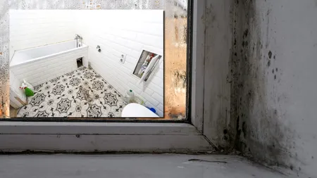 Cum să scapi de mucegaiul din baie sau bucătărie. Ingredientele costă sub 10 lei