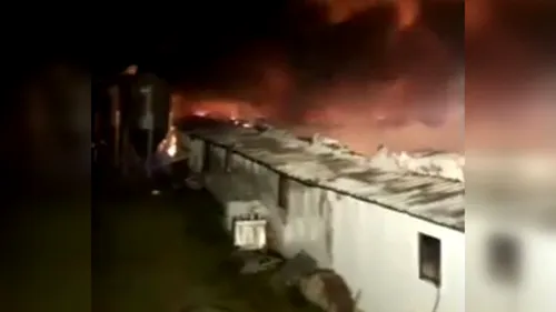 Sute de animale au murit într-un incendiu violent izbucnit la un adăpost din Buzău