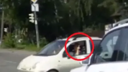 O șoferiță a arătat degetul mijlociu în trafic. Urmarea este demnă de un film